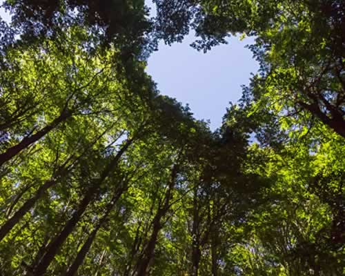 情感修复公司排名！2025全国十大婚姻挽救机构大盘点