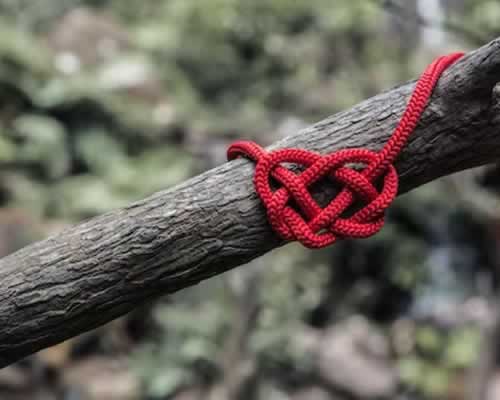 全球十大婚姻挽救机构排行榜，2025权威婚姻修复行业榜单揭晓